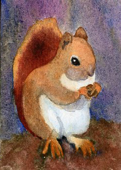 Feeling Squirrelly  Rebecca Herb Madison WI watercolor  SOLD